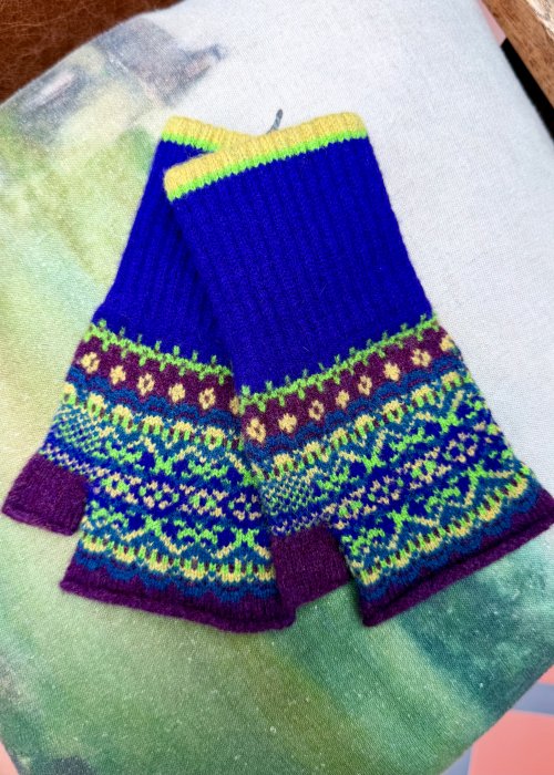 ERIBÉ | Alloa Open Mitt | Sirius 